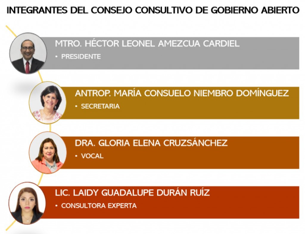 CONSEJO CONSULTIVO